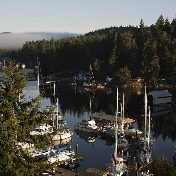 A serene marina nestled in a calm bay, filled with sailboats and yachts gently anchored along wooden docks. The surrounding landscape is lush with evergreen trees, and a light mist hovers over the water in the distance, creating a tranquil and peaceful atmosphere.