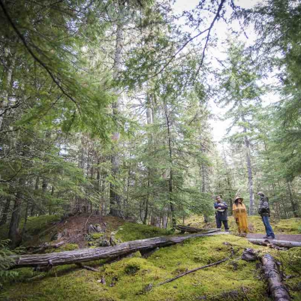 An Indigenous guide speaks to two visitors in the forest.