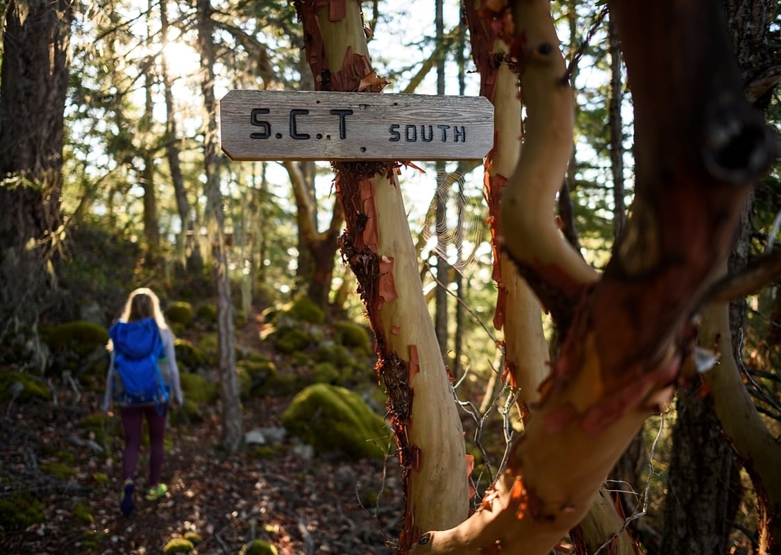 A woman walks in the forest, a sign reads 