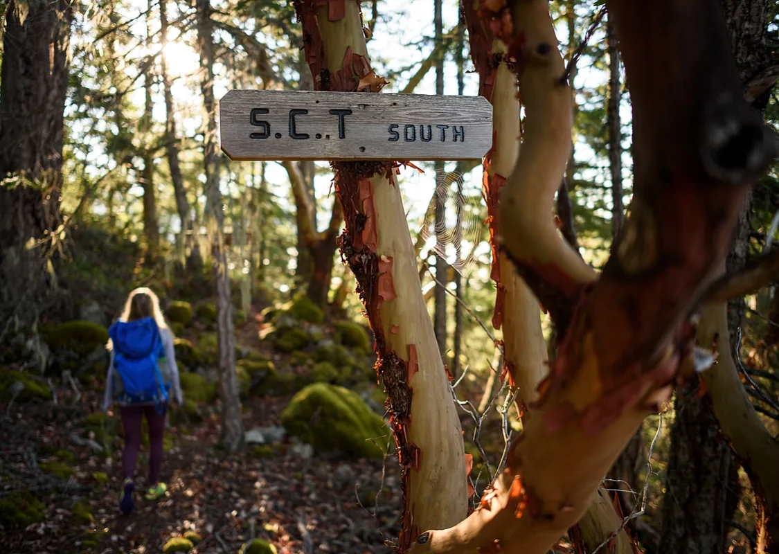 A woman walks in the forest, a sign reads 