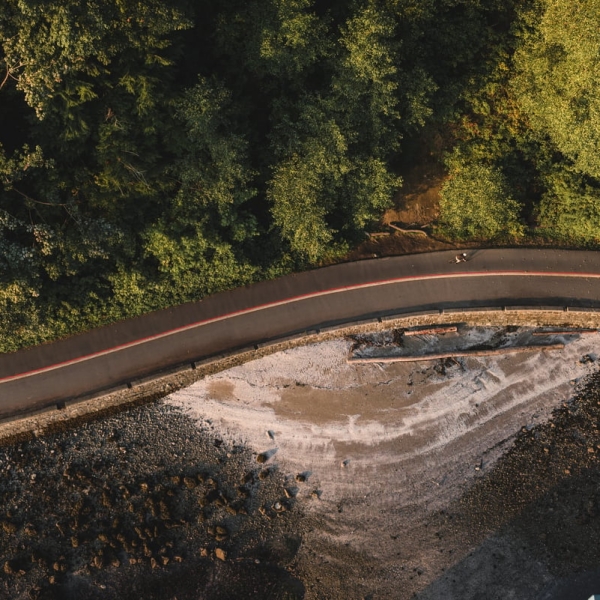 An aerial view of the Stanley Park Seawall in the summer. Trees on one side and a beach and rocky shoreline on the other.