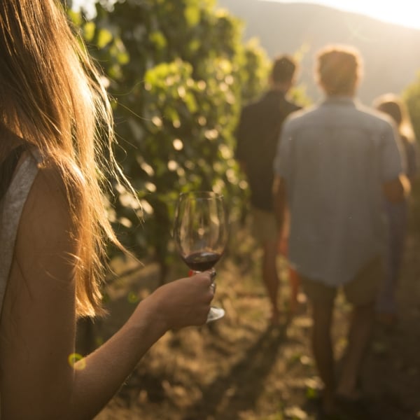 Un grupo de personas caminando entre hileras de uvas en un viñedo