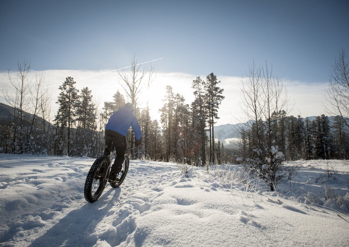 A person Fat Biking on the Ridgemont Trail in Fernie