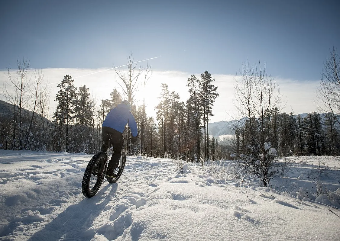 A person Fat Biking on the Ridgemont Trail in Fernie