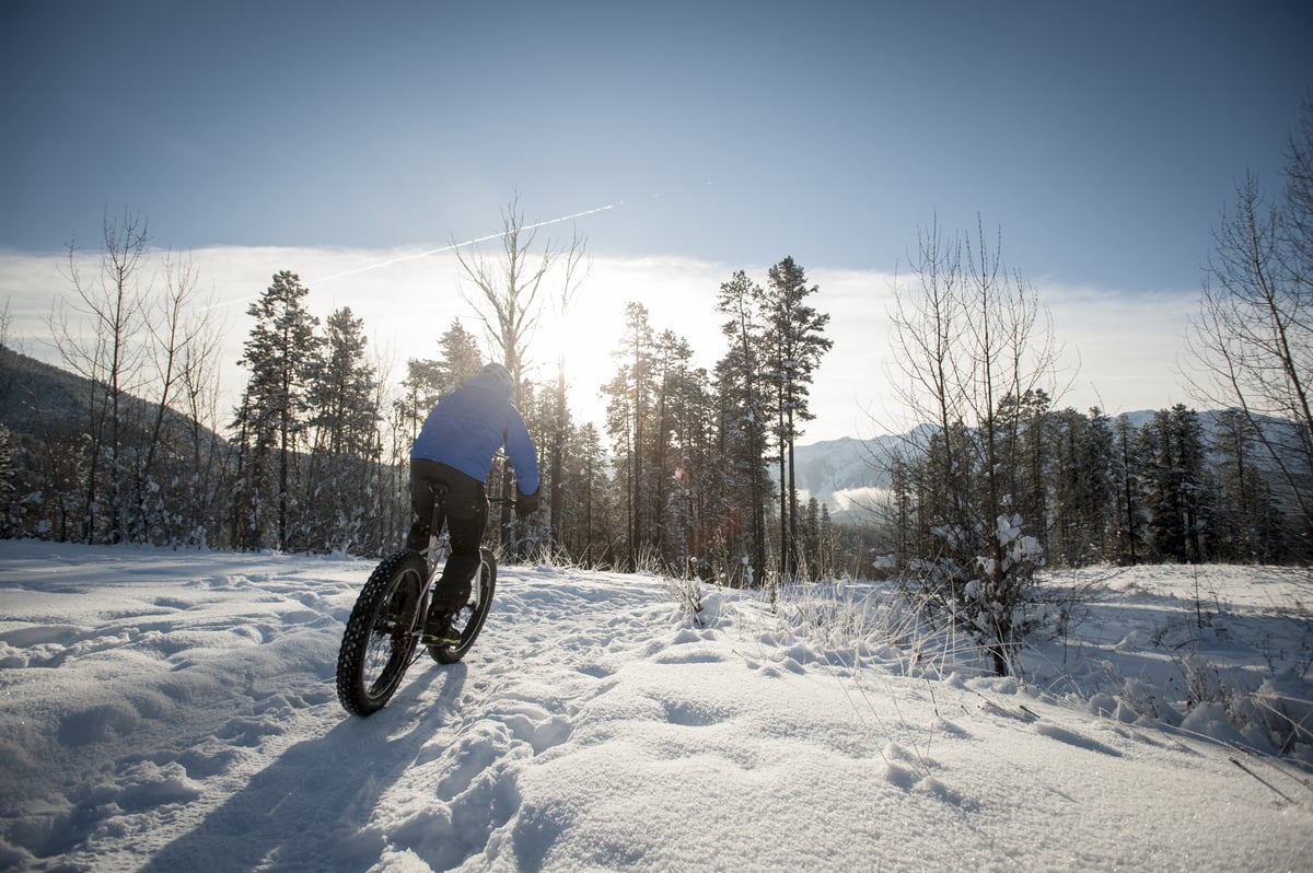 A person Fat Biking on the Ridgemont Trail in Fernie