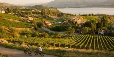 A couple cycles past vineyards on the Kettle Valley Railway between Penticton and Naramata with lush wineries and Okanagan Lake in the backdrop.