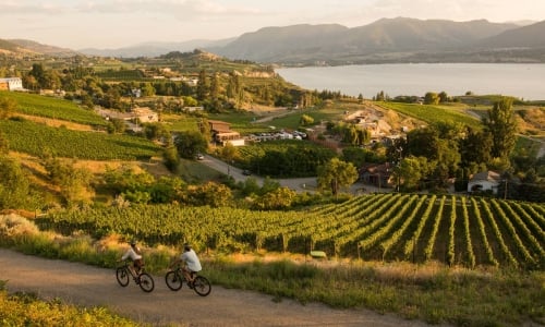 A couple cycles past vineyards on the Kettle Valley Railway between Penticton and Naramata with lush wineries and Okanagan Lake in the backdrop.