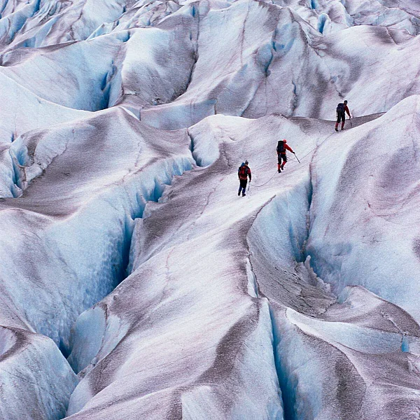 Eine Gruppe Wanderer*innen wandert entlang eines großen Gletschers im Atlin Provincial Park.