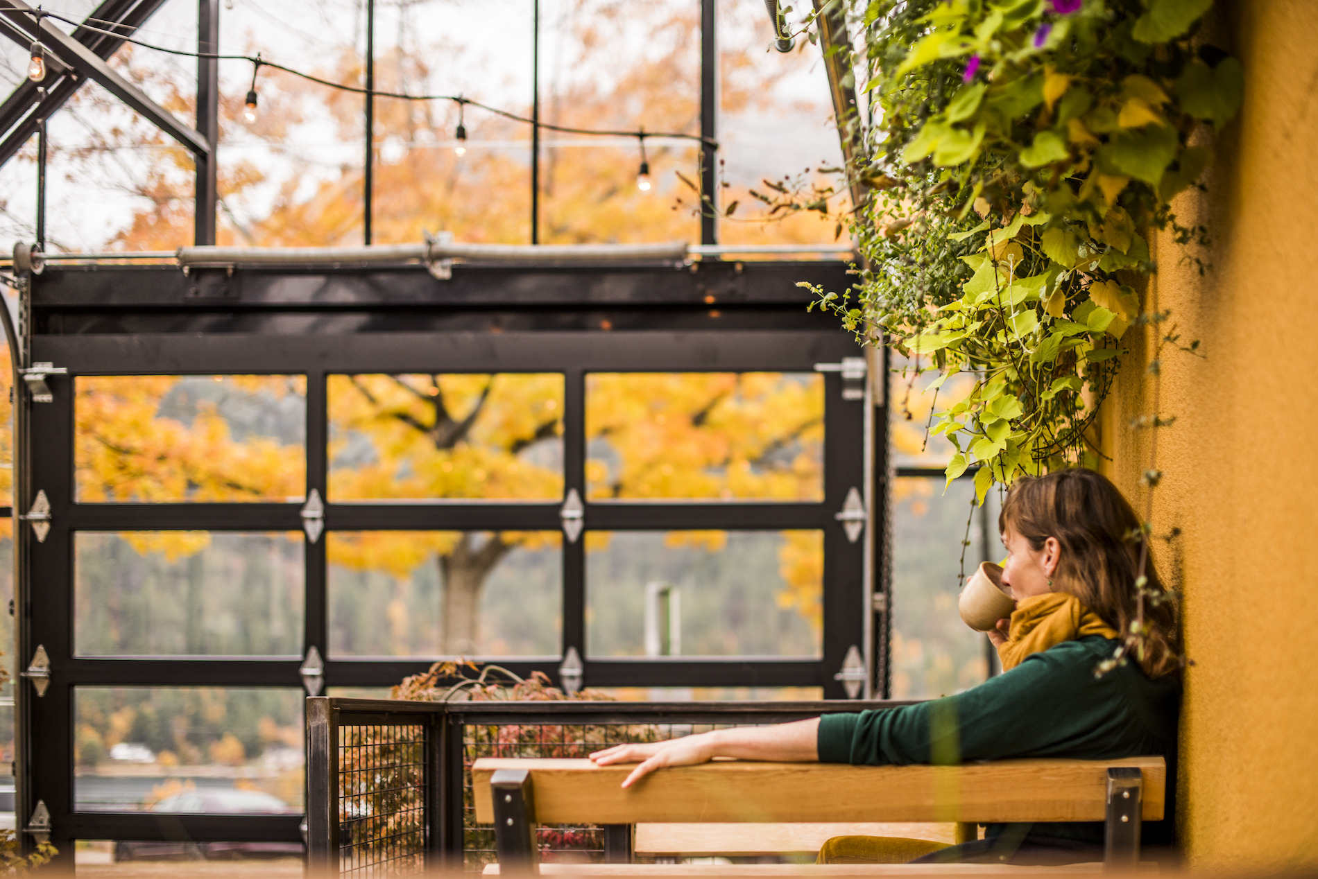 A person sitting on a bench in the fall