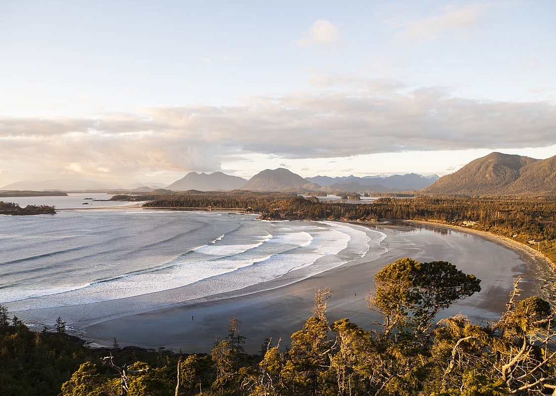 Aerial view of the coastline with waves breaking on a long, sandy beach. Trees are in the foreground, mountains in the distance.