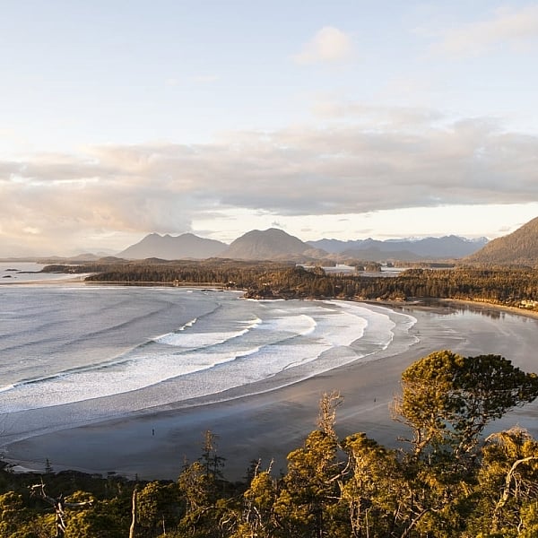 Aerial view of the coastline with waves breaking on a long, sandy beach. Trees are in the foreground, mountains in the distance.