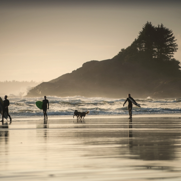 Surfers in Tofino at sunset