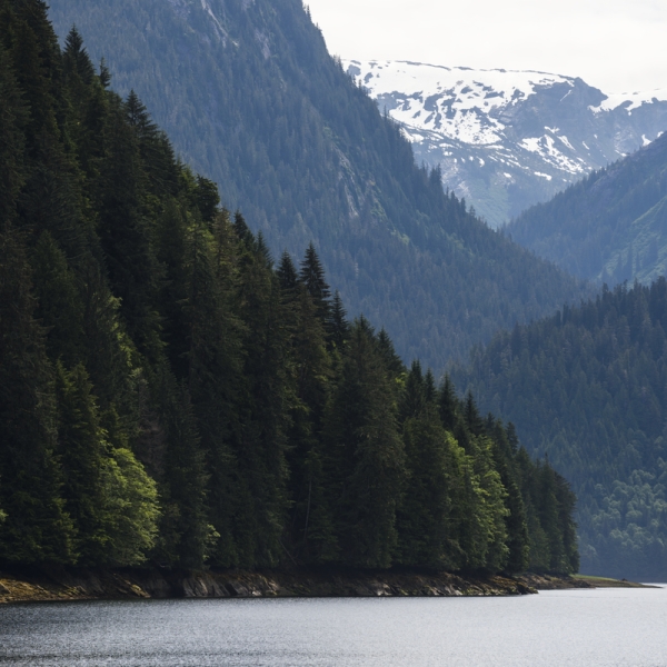 Ein Blick auf das Khutzeymateen Inlet, umgeben von steilen Bergen, bedeckt mit immergrünen Bäumen im Norden von British Columbia.