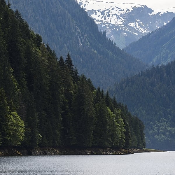 Una vista del Khutzeymateen Inlet, rodeado de montañas empinadas cubiertas de árboles de hoja perenne en el norte de la Columbia Británica.