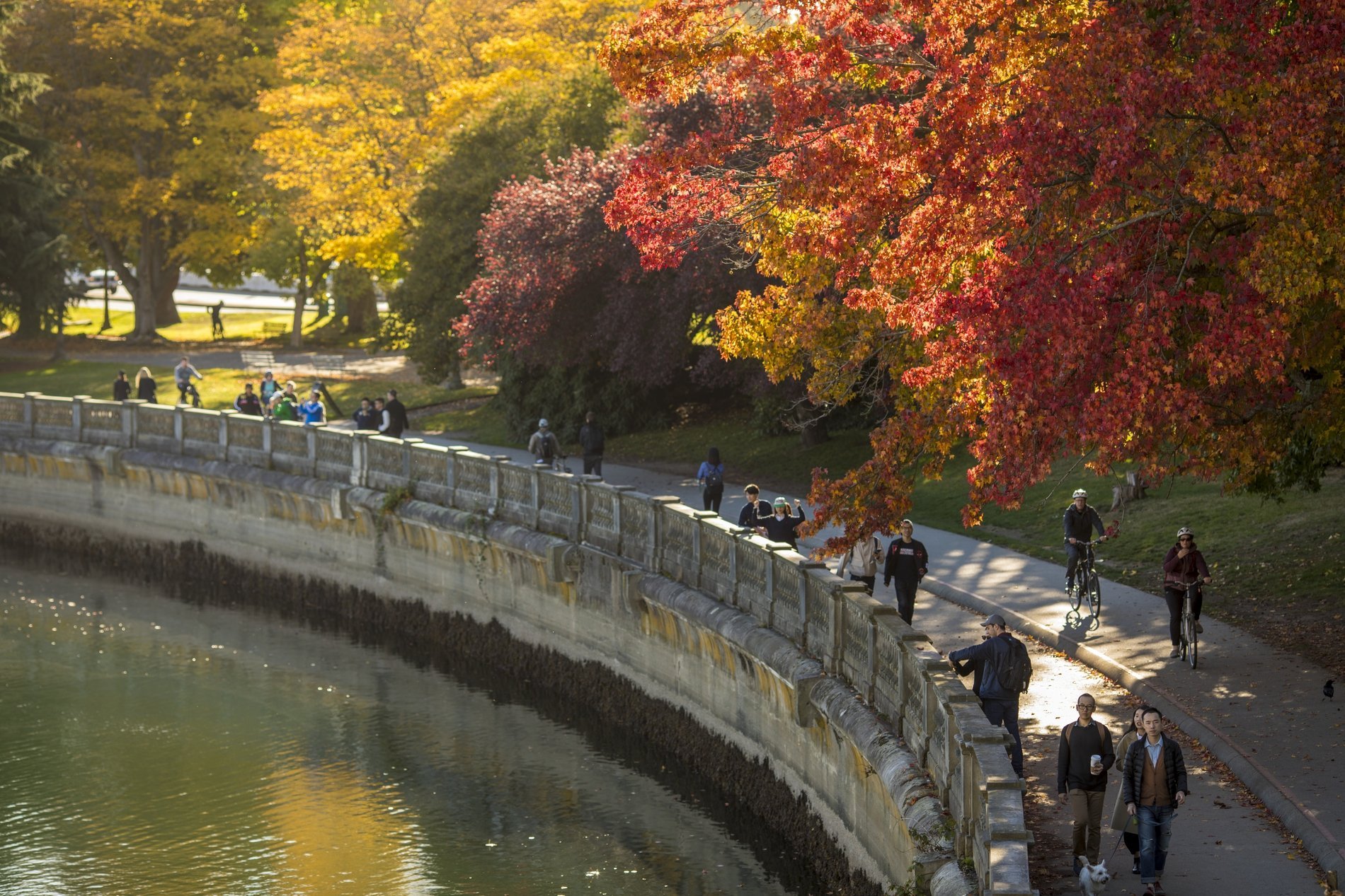 People walking the Stanley Park Seawall in Vancouver during the fall