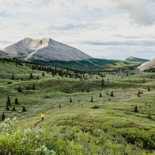 A hiker in the distance walks along a trail surrounded by lush alpine meadows and mountains.