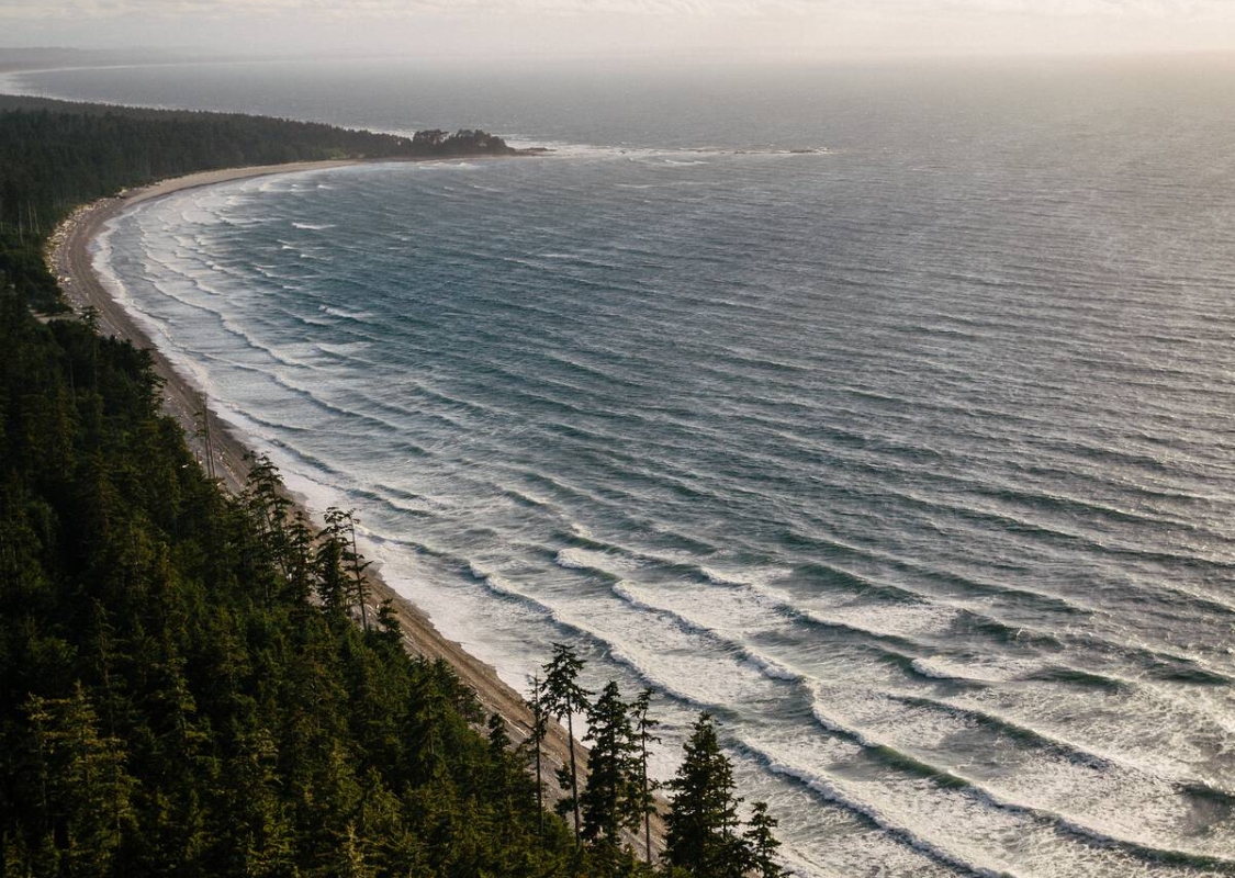 Looking down from a high vantage point over a lush temperate forest on the left side of the frame, and waves rolling onto a long, curving beach into the distance