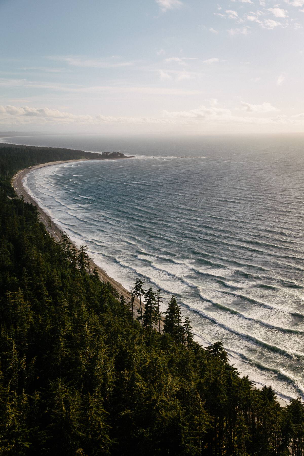 Looking down from a high vantage point over a lush temperate forest on the left side of the frame, and waves rolling onto a long, curving beach into the distance