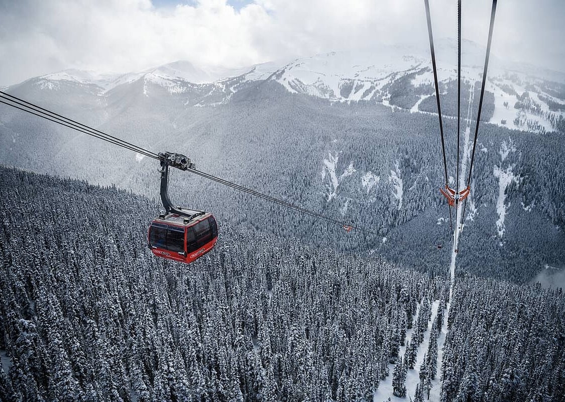 Red Gondola above the winter forest floor