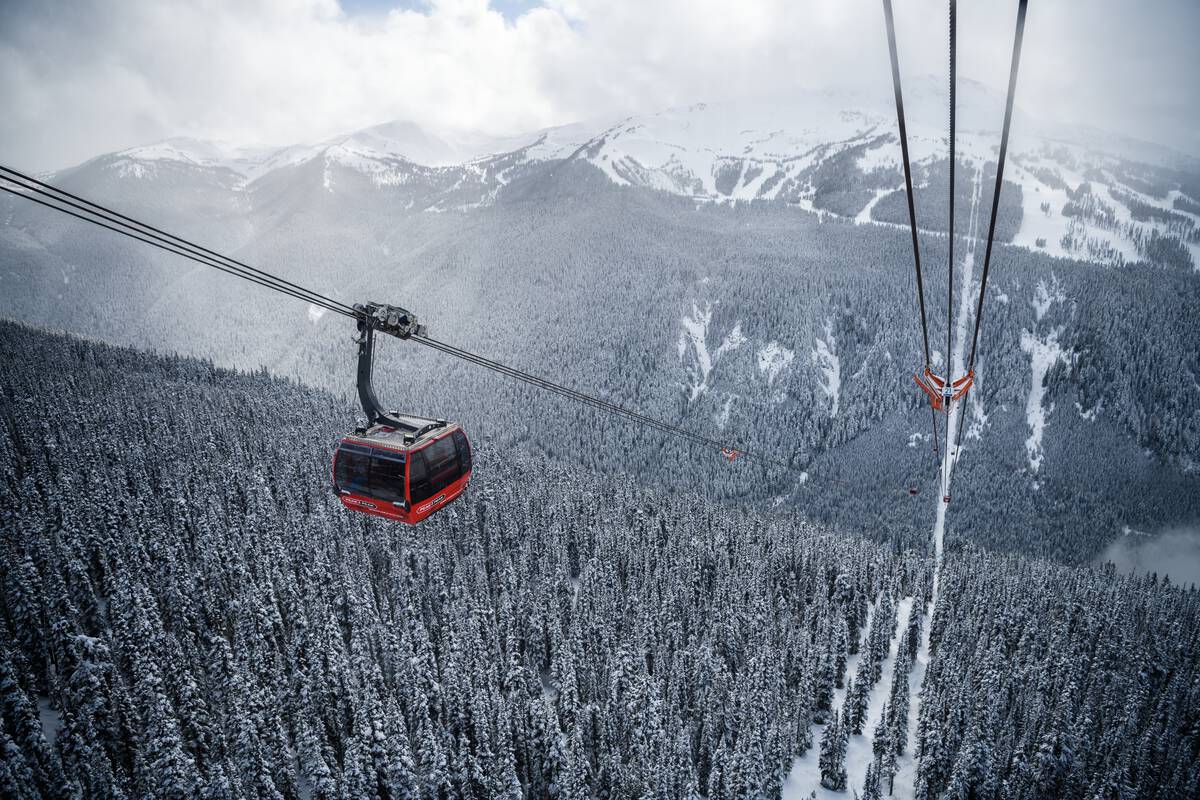 Red Gondola above the winter forest floor
