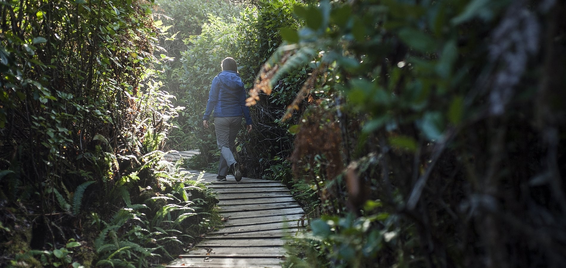Eine Person geht auf einem Holzsteg, der von Bäumen umgeben ist, von der Kamera weg durch den Pacific Rim National Park