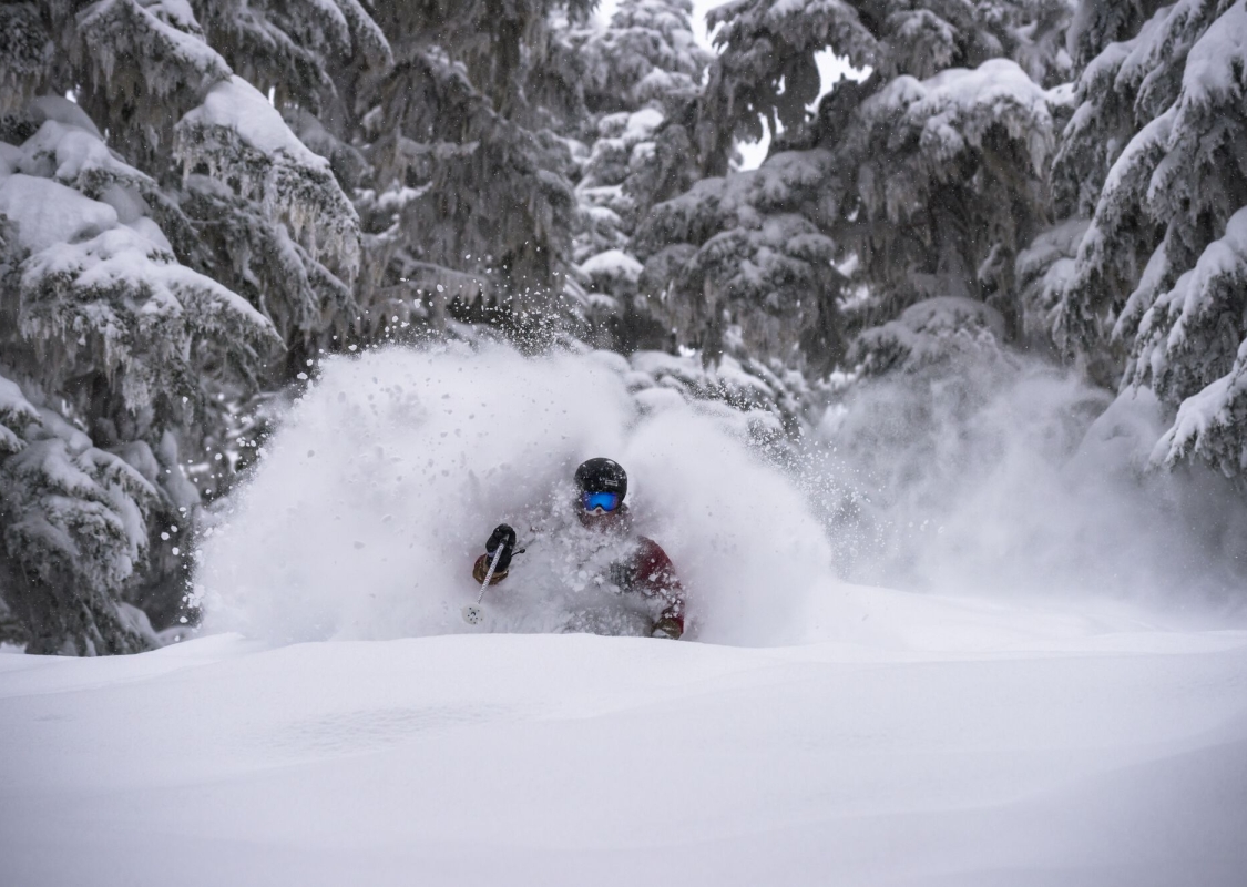 Skier kicks up a ton of powder that almost obscures them. Snow-draped trees in the background.