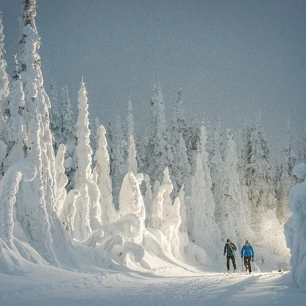 Langlaufen im SilverStar Mountain Resort in BCs Thompson Okanagan