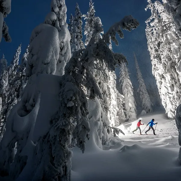 Langlaufen im SilverStar Mountain Resort in BCs Thompson Okanagan