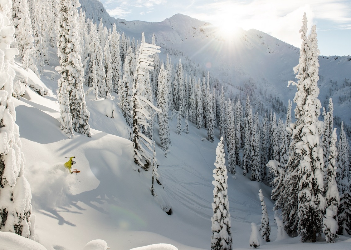 One skier in a bright yellow jacket carves through the deep snow