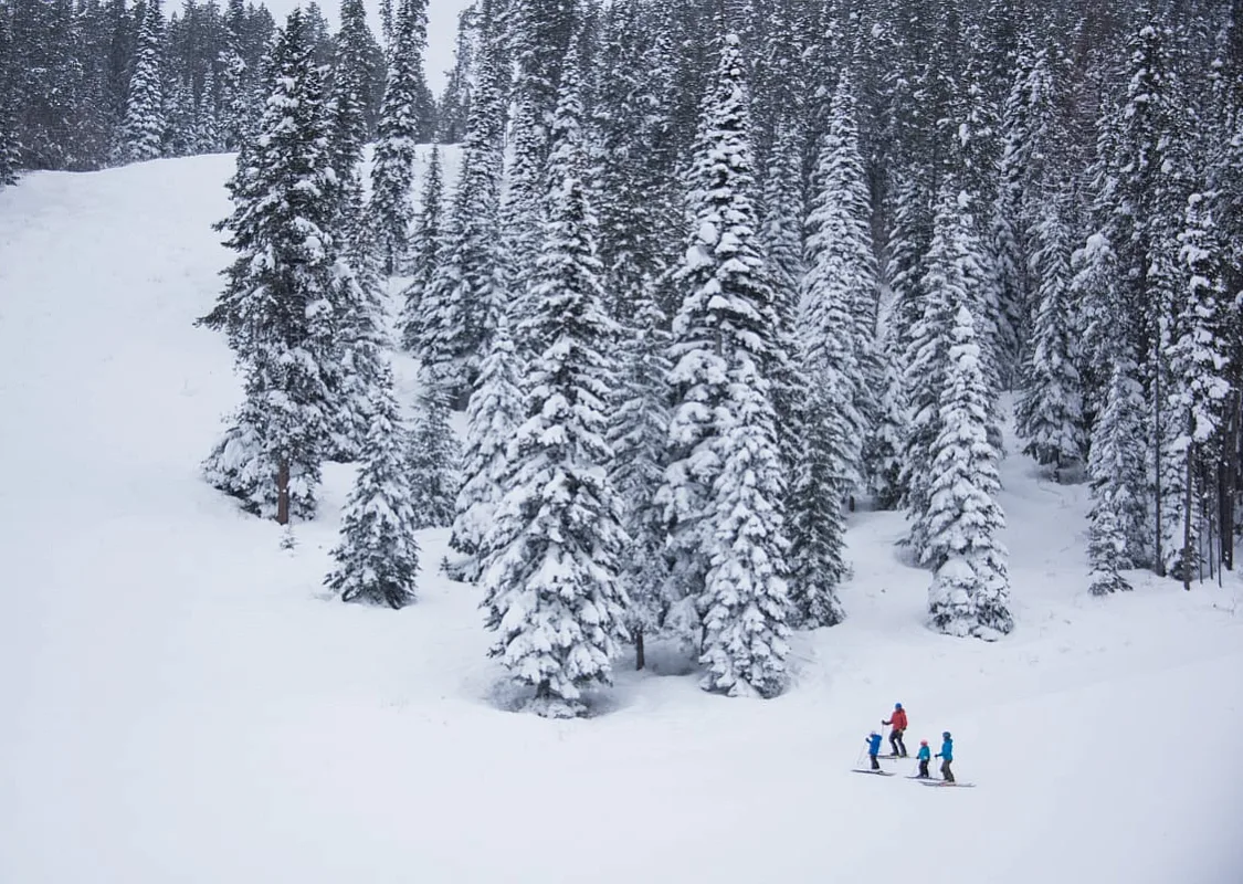 Skiing at the resort