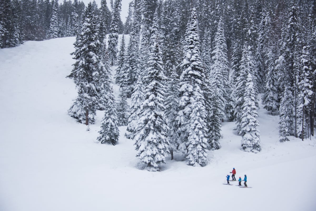 Skiing at the resort