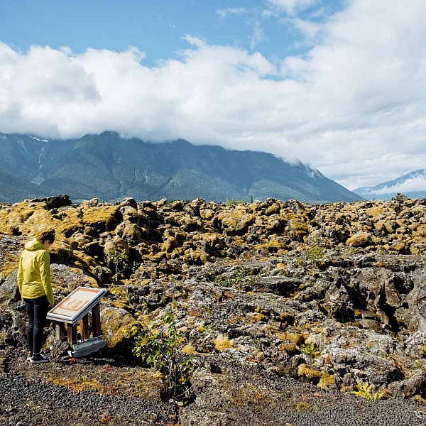 A person reads an interpretive sign that stands in front of a pile of black lava rocks that are covered in yellow lichen.