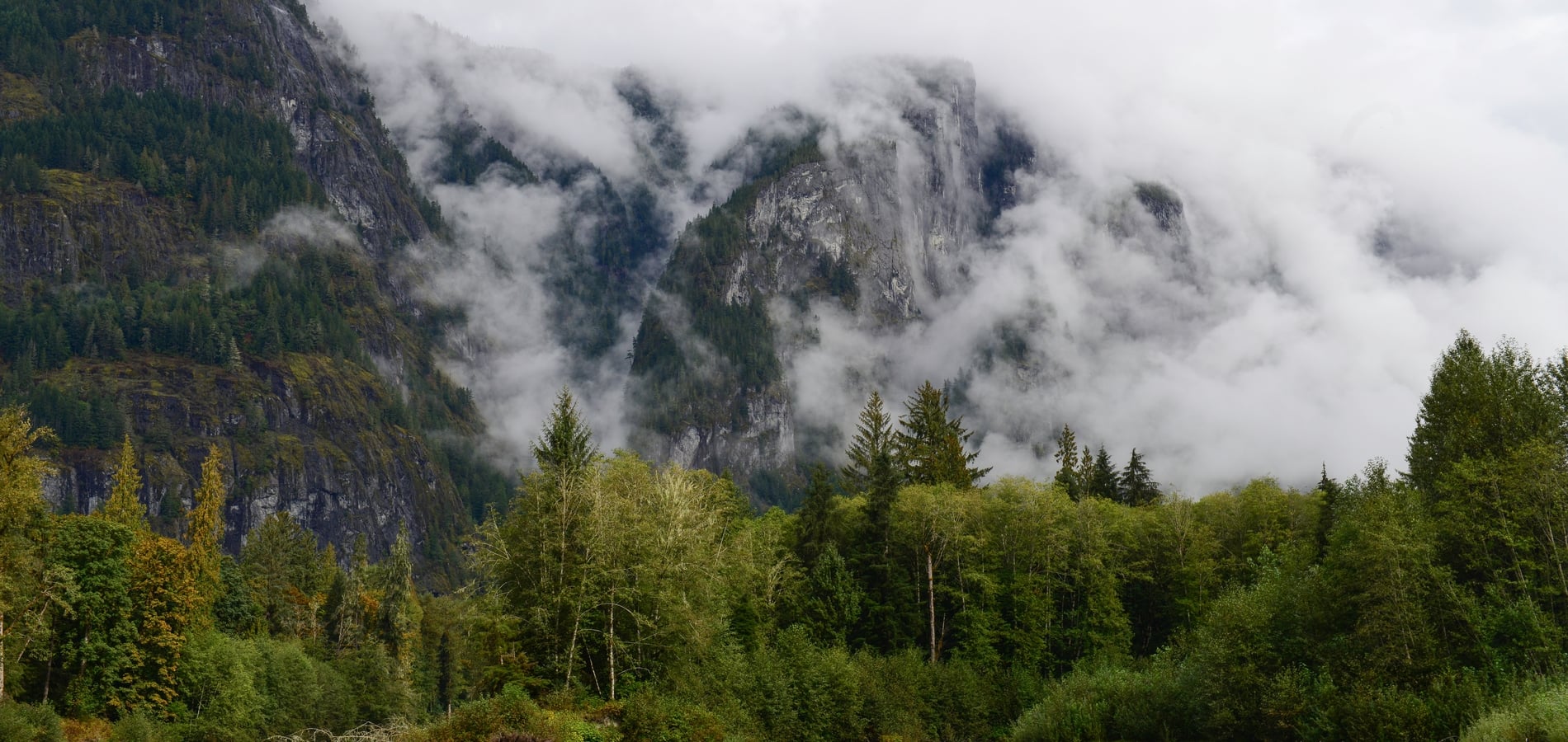 Toba Inlet | Wilderness International/Erik van de Perre