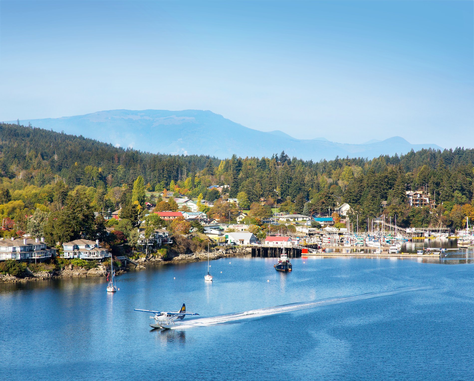 Un hidroavión aterrizando en el agua frente al puerto en un día despejado.