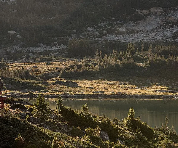 4 Quirky Alternatives to Tent Camping in BC