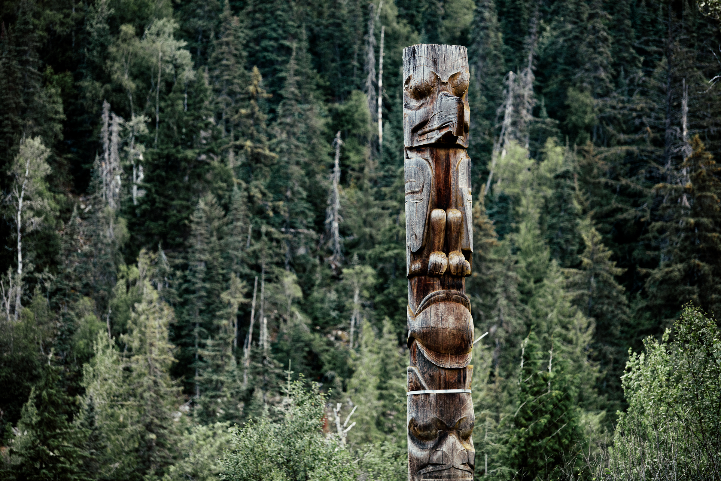An aging wooden totem pole stands tall in a forested area, n the village of Gitwinksihlkw or New Aiyansh, part of the Nisga'a Nation.