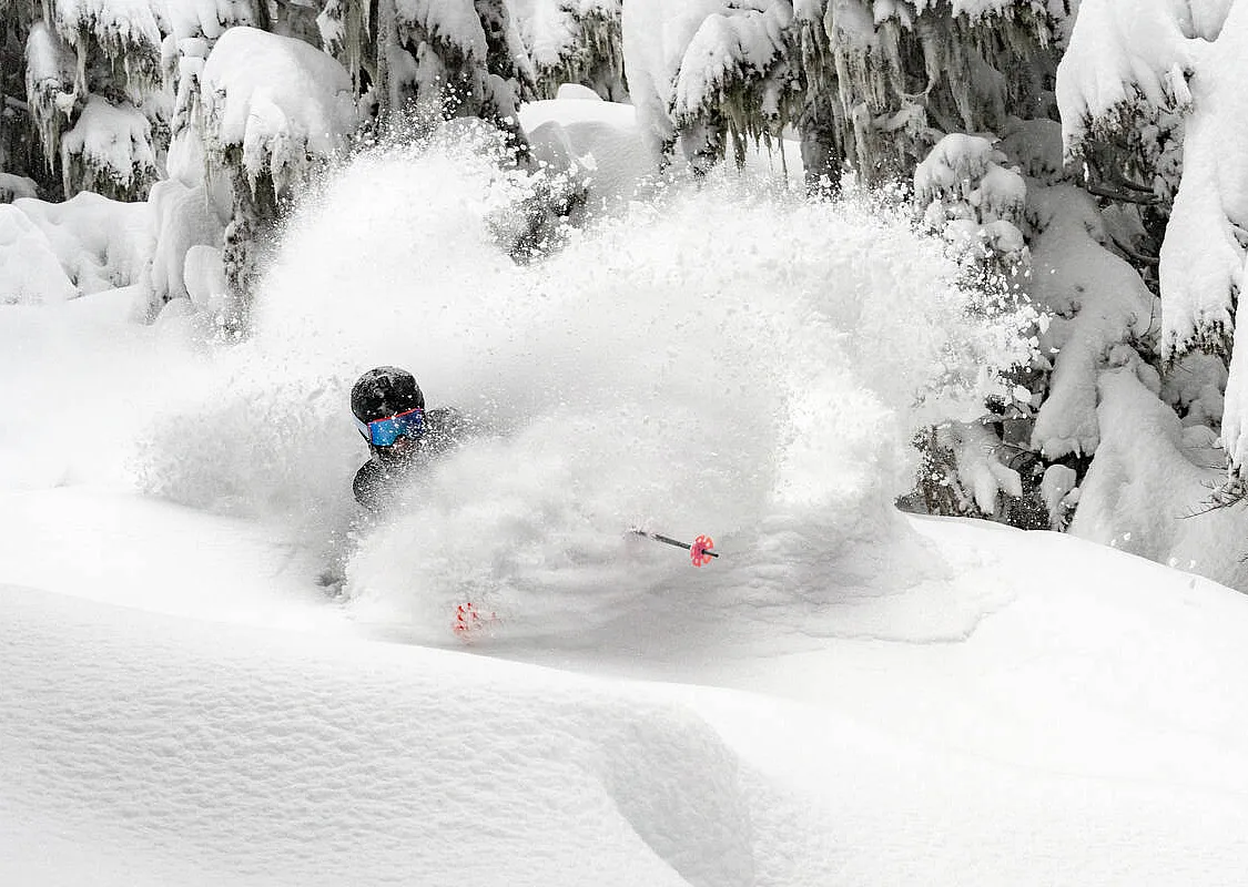 Skier in deep powder in the trees in Whistler, British Columbia