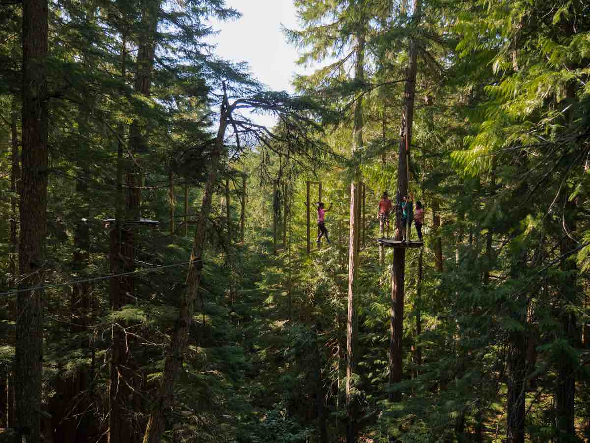 Three people are suspended in the trees as they make their way across an aerial obstacle course.
