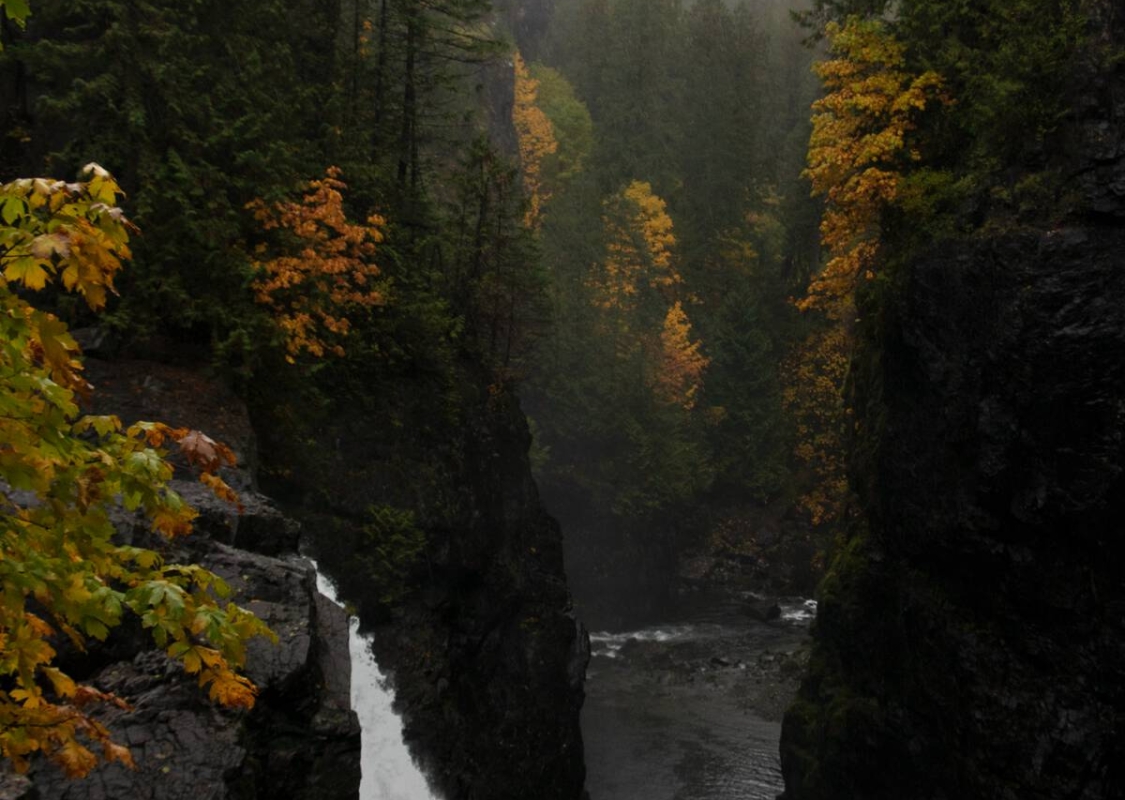 People walking over Elk Falls Suspension Bridge in Elk Falls Provincial Park near Campbell River. Canyon with waterfall and fall leaves | Jake Byrne
