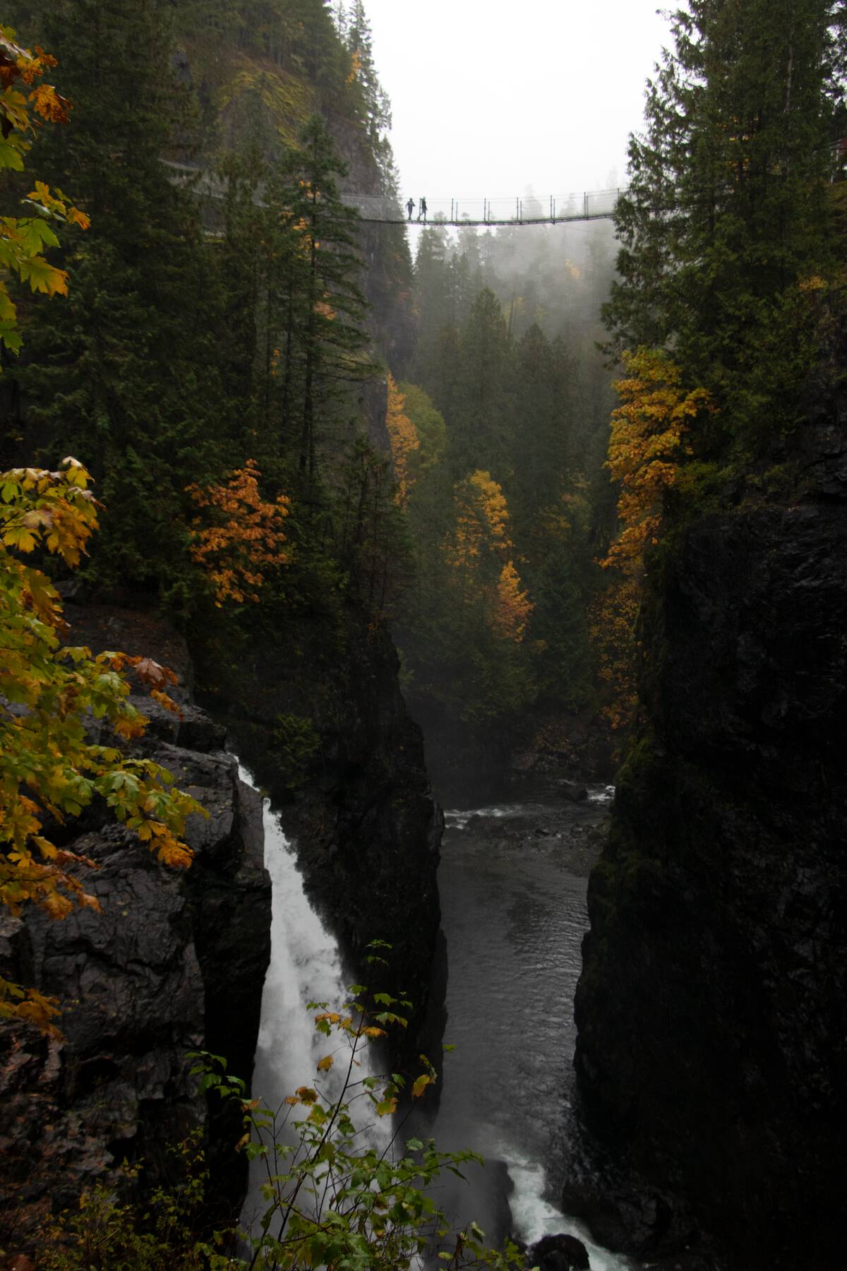 People walking over Elk Falls Suspension Bridge in Elk Falls Provincial Park near Campbell River. Canyon with waterfall and fall leaves | Jake Byrne