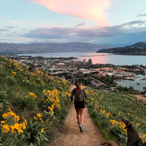 Person jogging on a path in Knox Mountain Park on a trail between yellow flowers. The town of Kelowna and the lake is seen in the distance. The clouds are lit up pink as the sun sets.