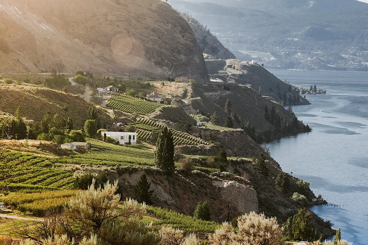 Vineyards along Okanagan Lake from Sage Hills Estate Winery and Vineyards in Summerland