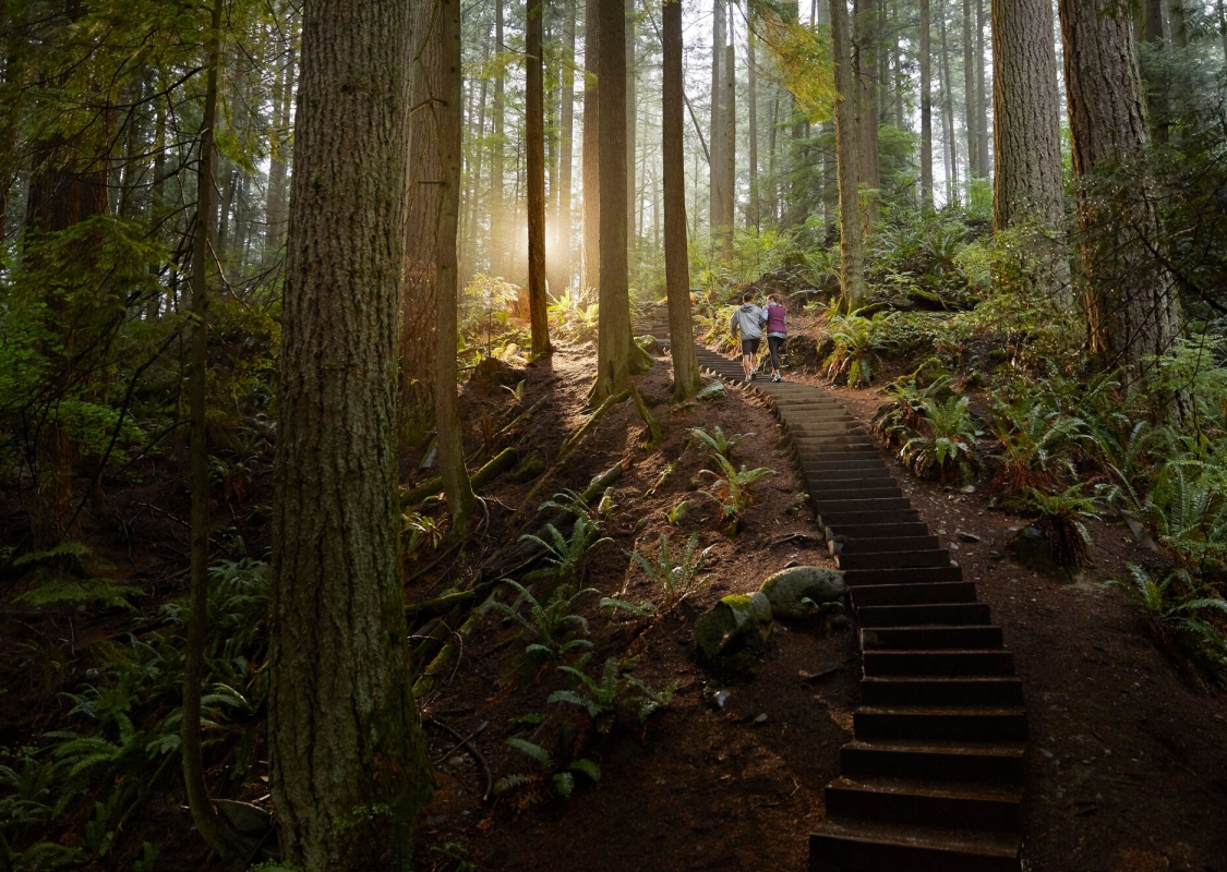 People hike a steep wooden stairway built in the forest with light reflecting in the trees.