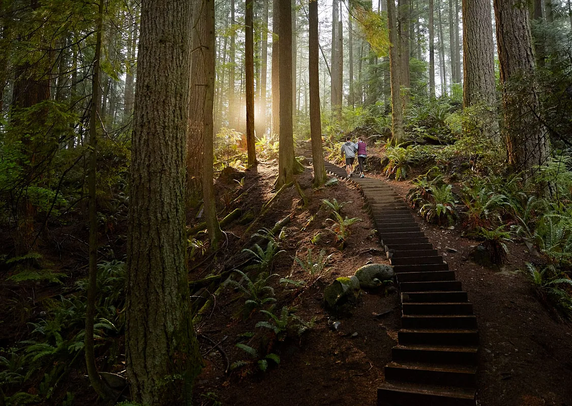 People hike a steep wooden stairway built in the forest with light reflecting in the trees.