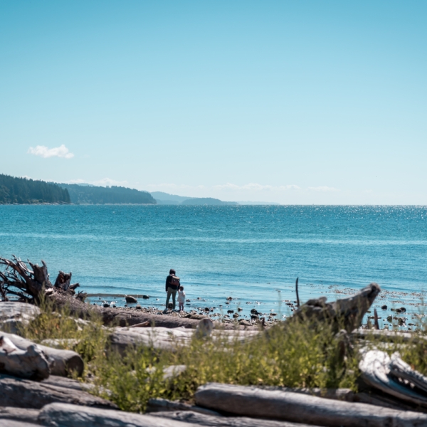A parent and child walk along the beach