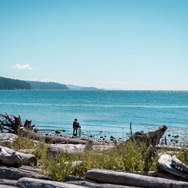 A parent and child walk along the beach