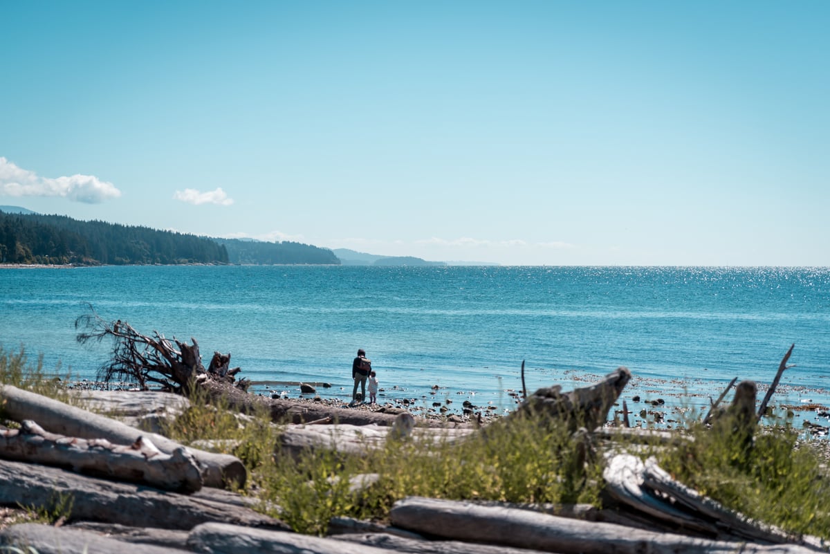 A parent and child walk along the beach