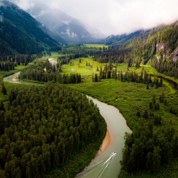 Aerial shot of Exchamsiks River through the forest. The horizon is slightly misty, with hints of deep blue. The river winds down the middle of a lush deep green forest.