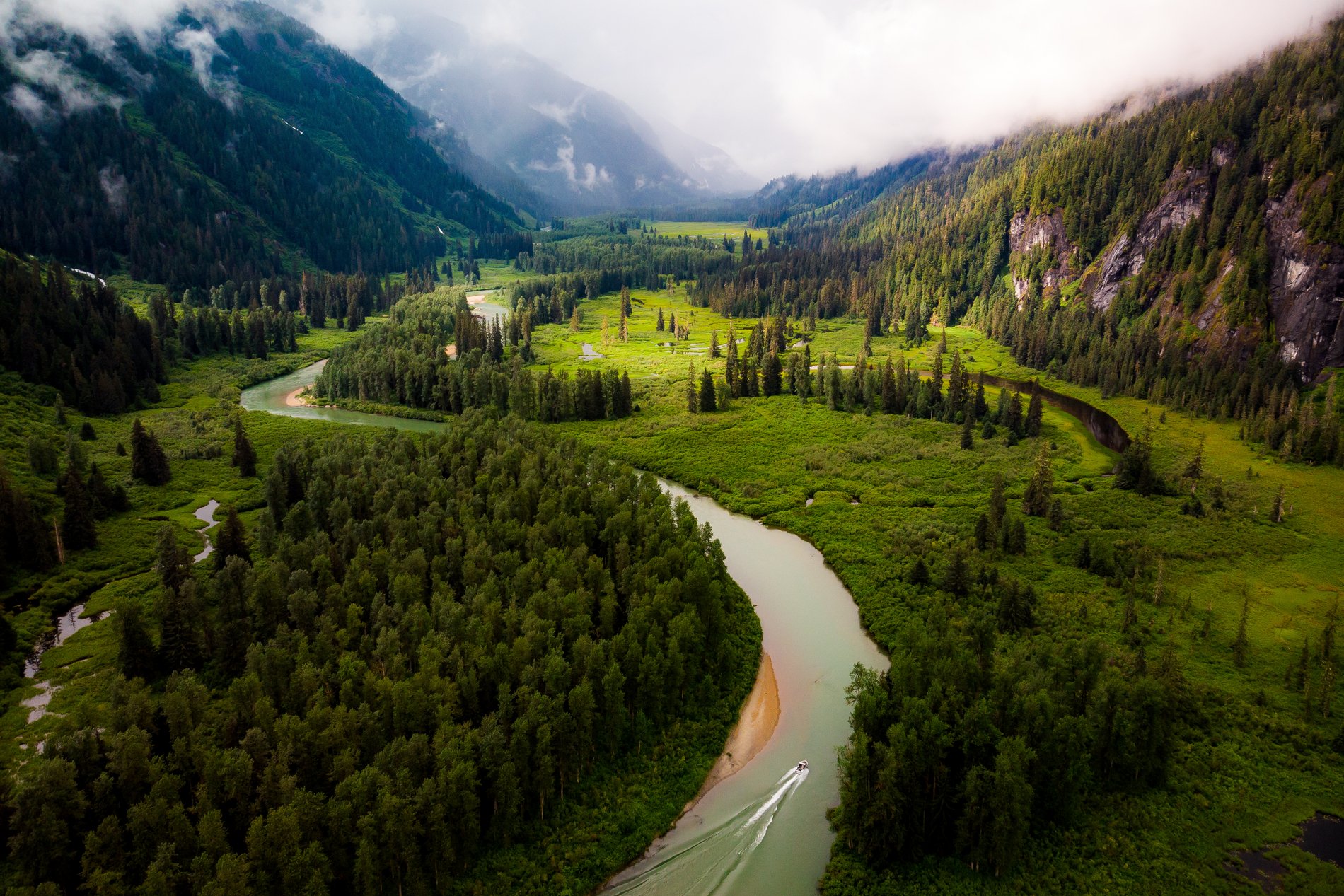 Aerial shot of Exchamsiks River through the forest. The horizon is slightly misty, with hints of deep blue. The river winds down the middle of a lush deep green forest.