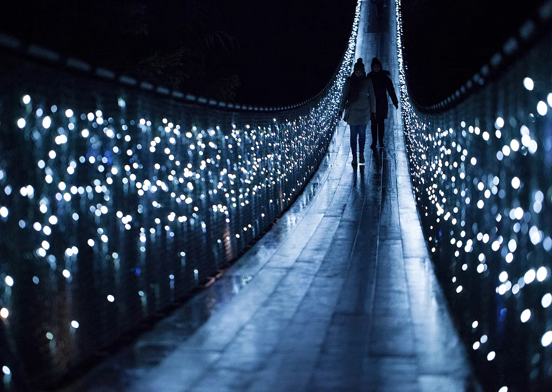 Canyon Lights | Destination Vancouver/Capilano Suspension Bridge Park